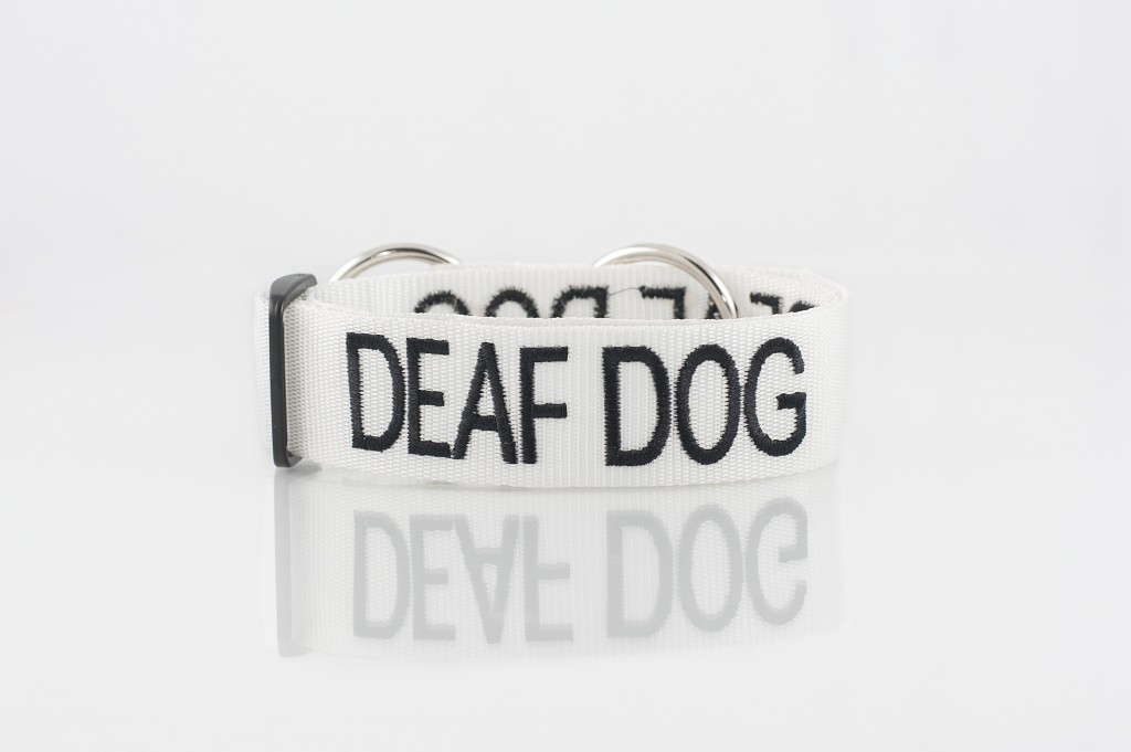 DEAF DOG, Dog collar Semi Choke and Buckle Collars White Colour Code
