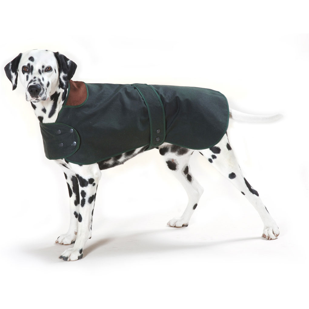 Traditional Hunter Green Waxed  Dog Coat