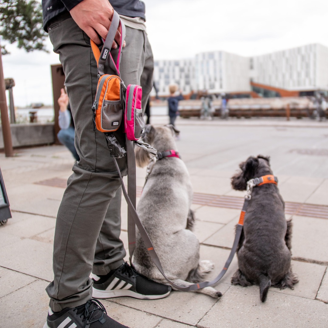 DOG COPENHAGEN Dog Walking Leash Pouch Organizer