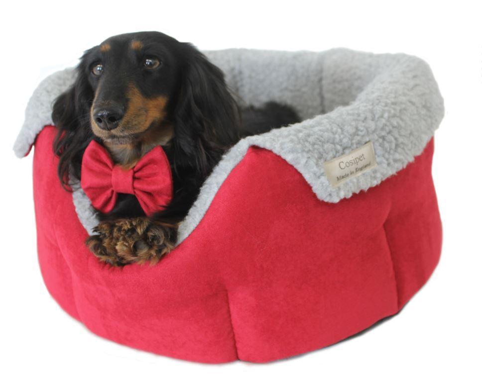 Luxury Red Chelsea Deep Style Slumbernest Dog Bed Sizes: S (51cm)