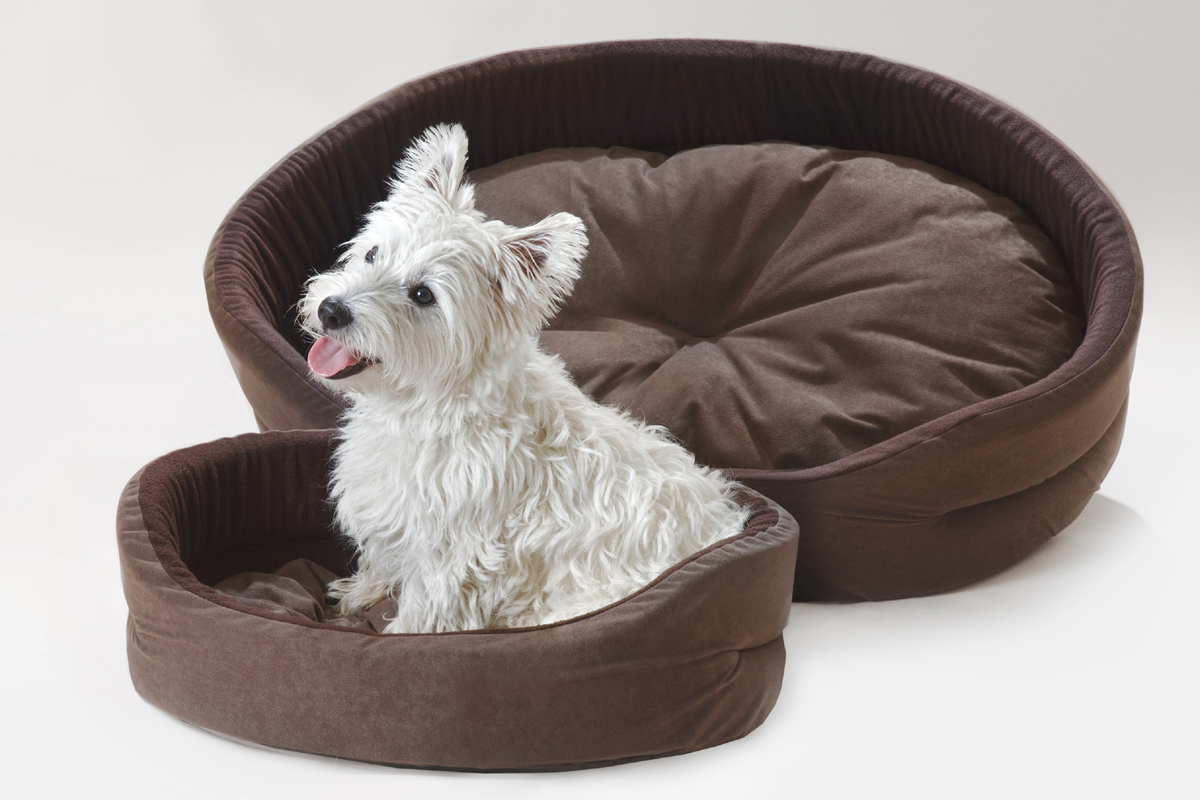 Chelsea Brown Oval Dog Beds Faux Suede Fabric. Thick Foam For A Firm Finish